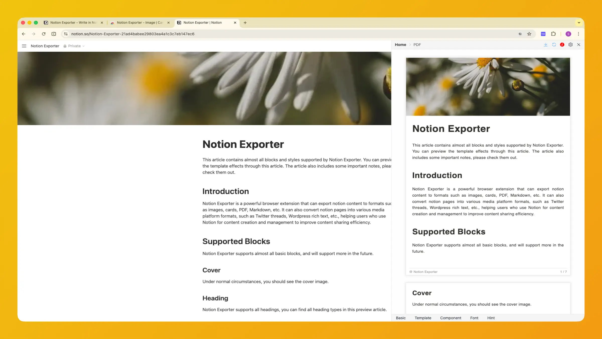 Export Notion to PDF Easily and Beautifully